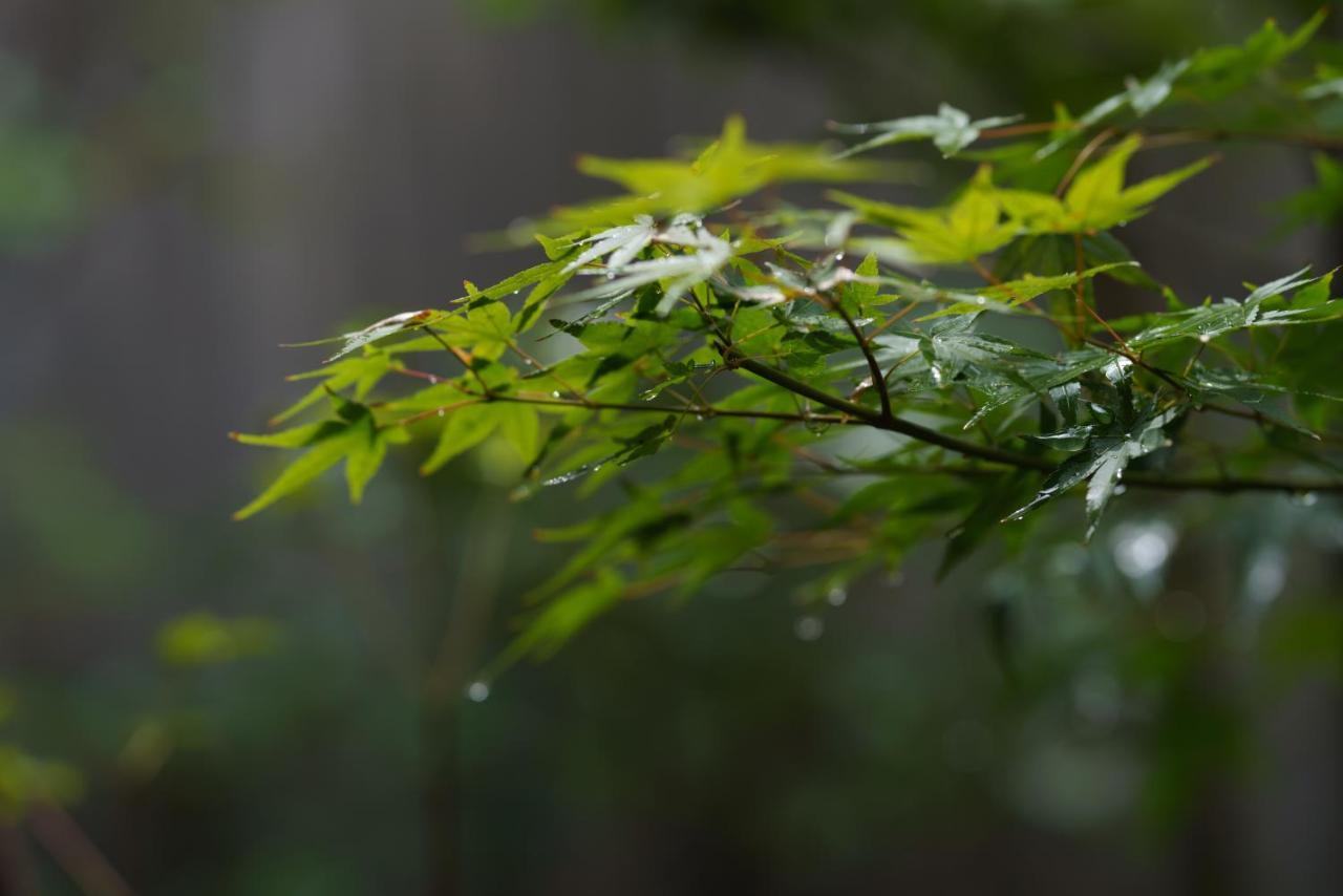 滔々 御崎 町家の宿 Toutou Onzaki Machiya No Yado Kurashiki Exterior foto